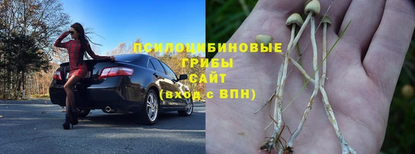 мескалин Гусь-Хрустальный