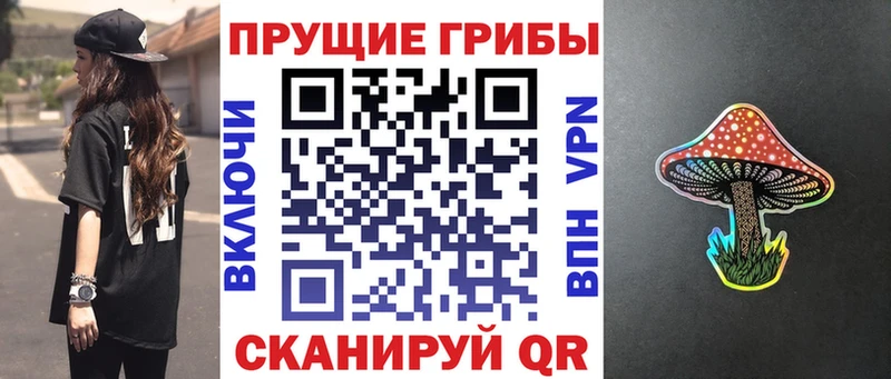 Купить  Урюпинск  Галлюциногенные грибы Psilocybe 